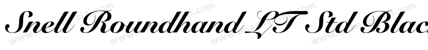 Snell Roundhand LT Std Black Script字体转换